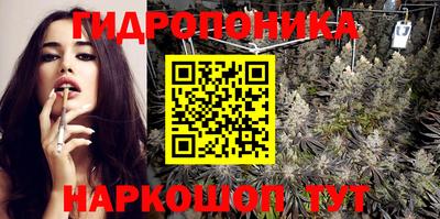 индика Северобайкальск