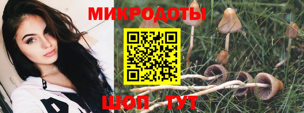 Галлюциногенные грибы мухоморы Рязань