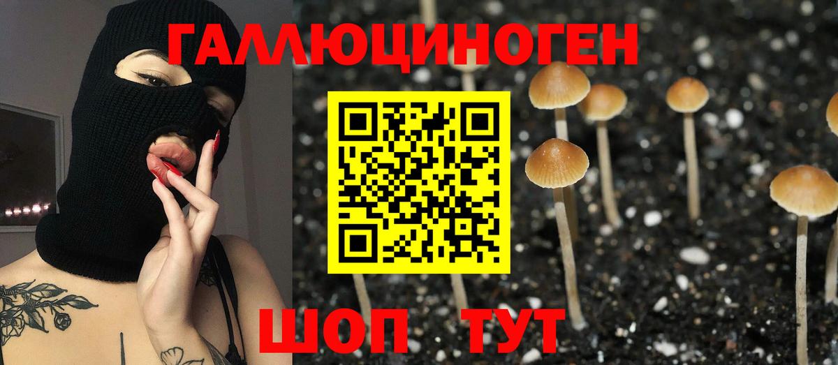 Галлюциногенные грибы Cubensis  Вход с VPN  Рязань 